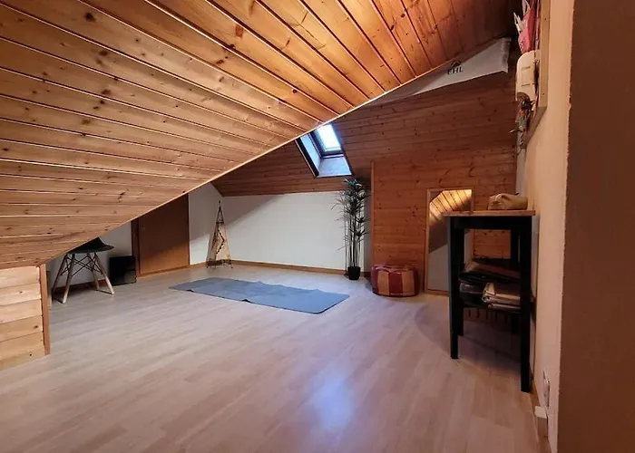 Appartement Spacieux A Lausanne