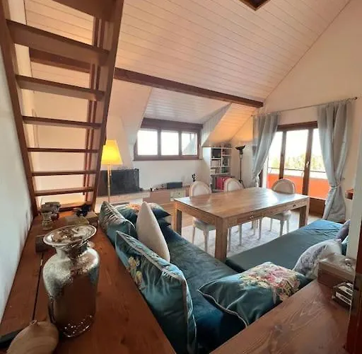 Appartement Spacieux A Lausanne