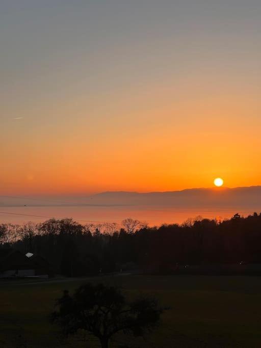 Apartment Spacieux A Lausanne