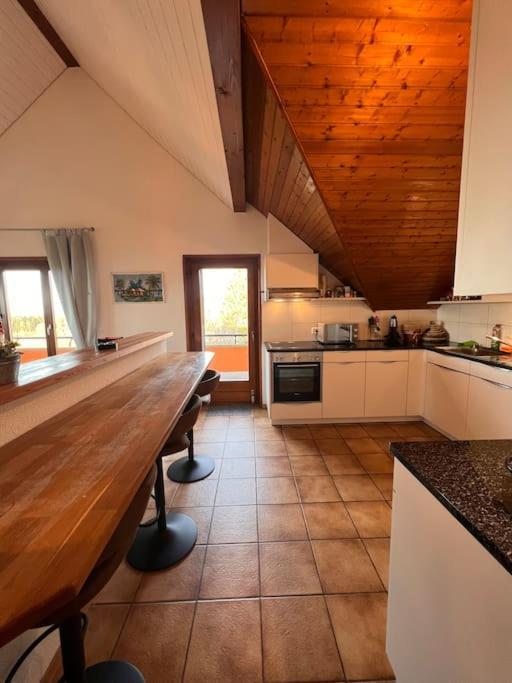 Spacieux A Lausanne Apartment Pully